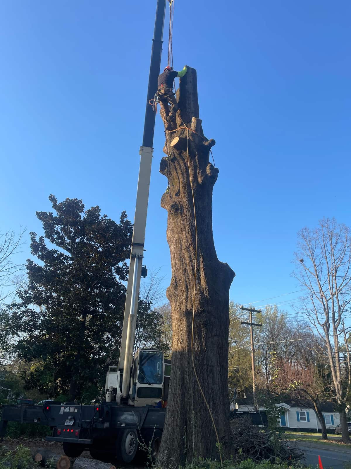 Ruben Tree Services completed work in Charlotte, NC