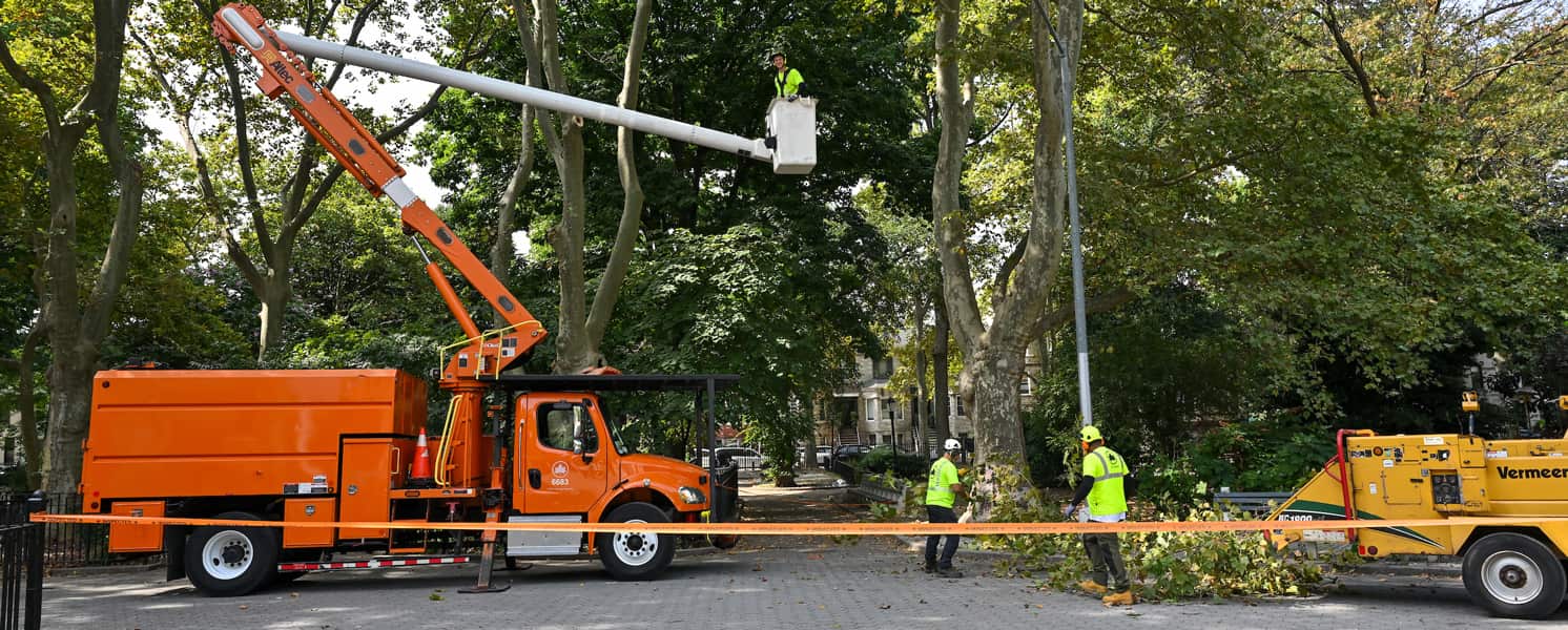 Canopy Raising